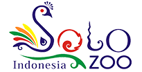 gallery/solo zoo